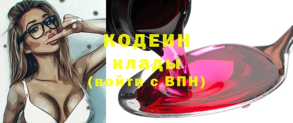 прущий лед Кодинск