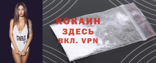 apvp Каменка