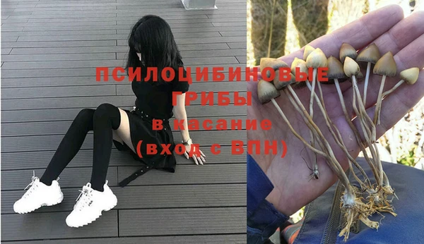 a pvp Киренск