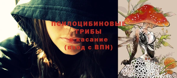 прущий лед Кодинск
