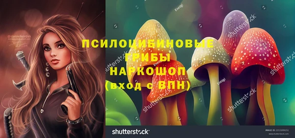 ешки Козловка