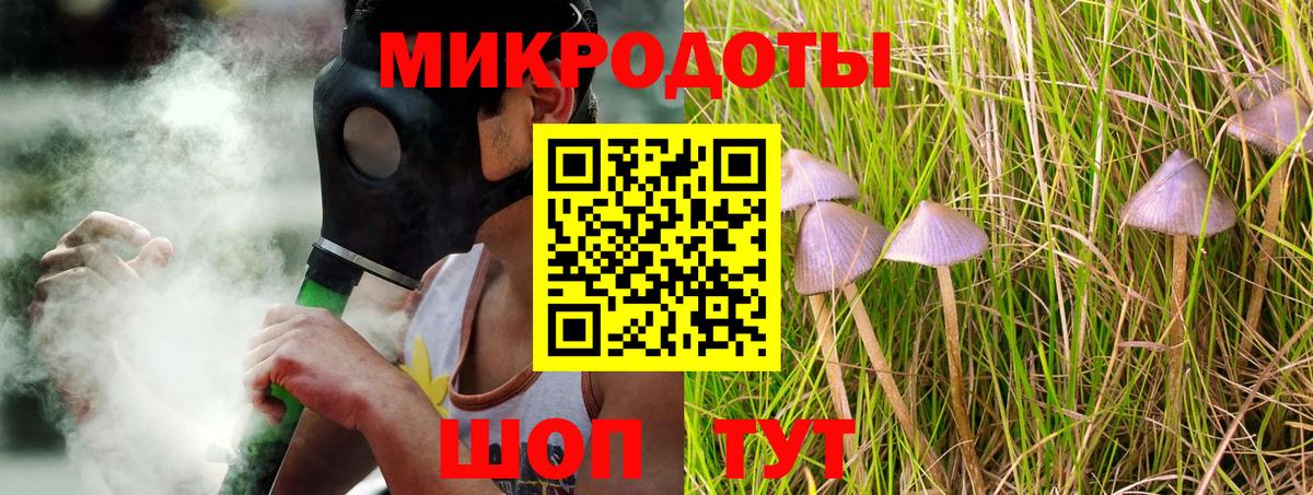 Михайловка  Псилоцибиновые грибы мицелий  Псилоцибиновые грибы Magic Shrooms  Вход с VPN 