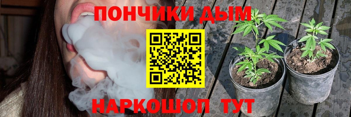 Михайловка  Каннабис сатива  Канабис планчик  Каннабис THC 21%  Марихуана тримм  Вход с VPN 